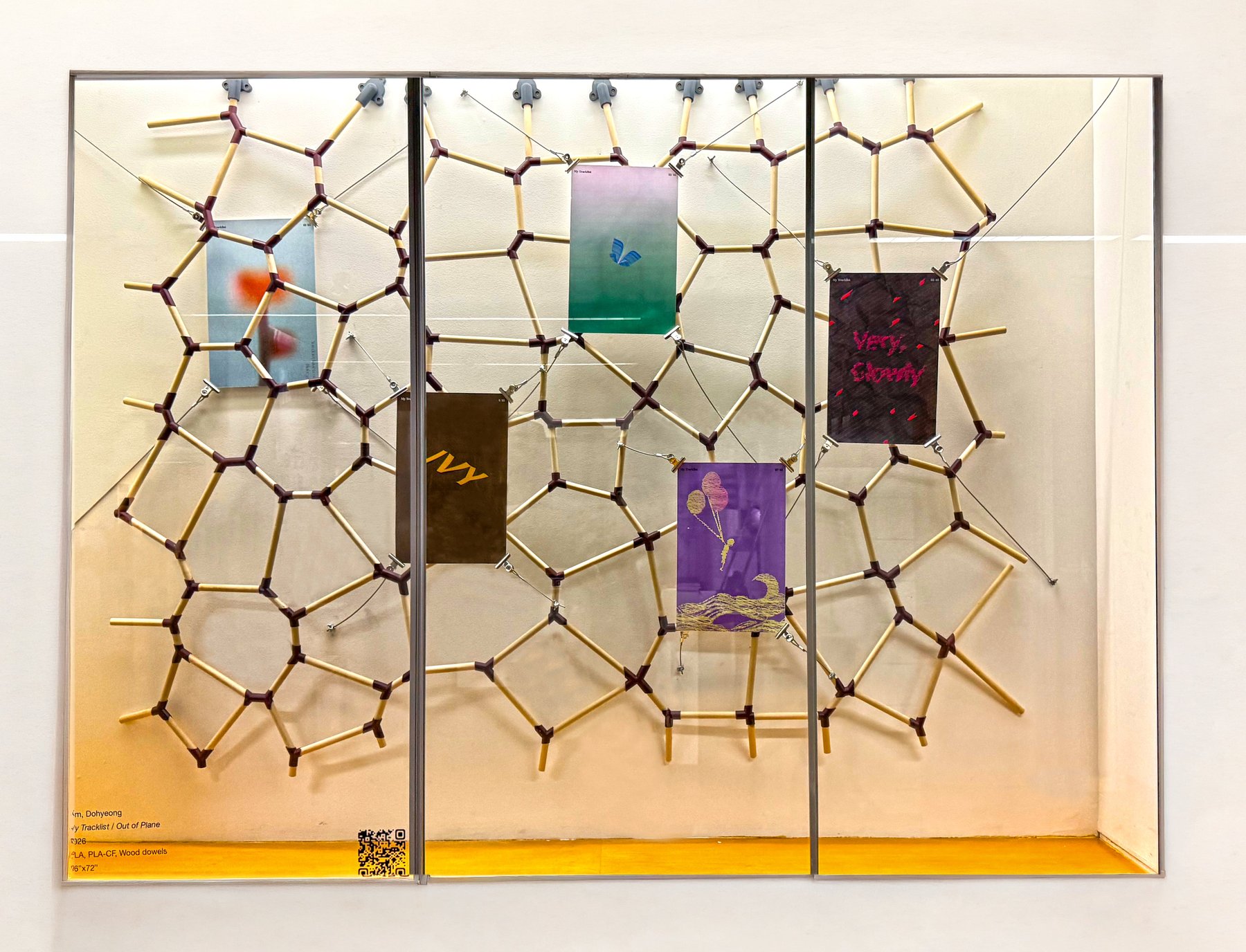 Five posters wired in front of and behind the Voronoi structure